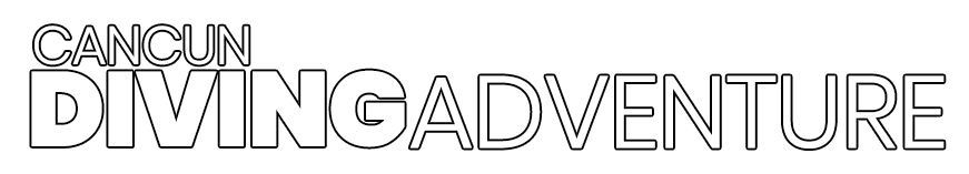 CANCUN DIVING ADVENTURE | cancundivingadventure.com