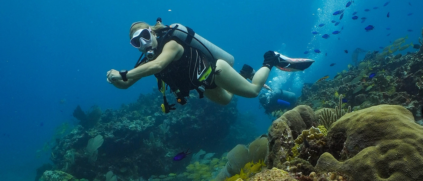 Cancun Diving Adventure