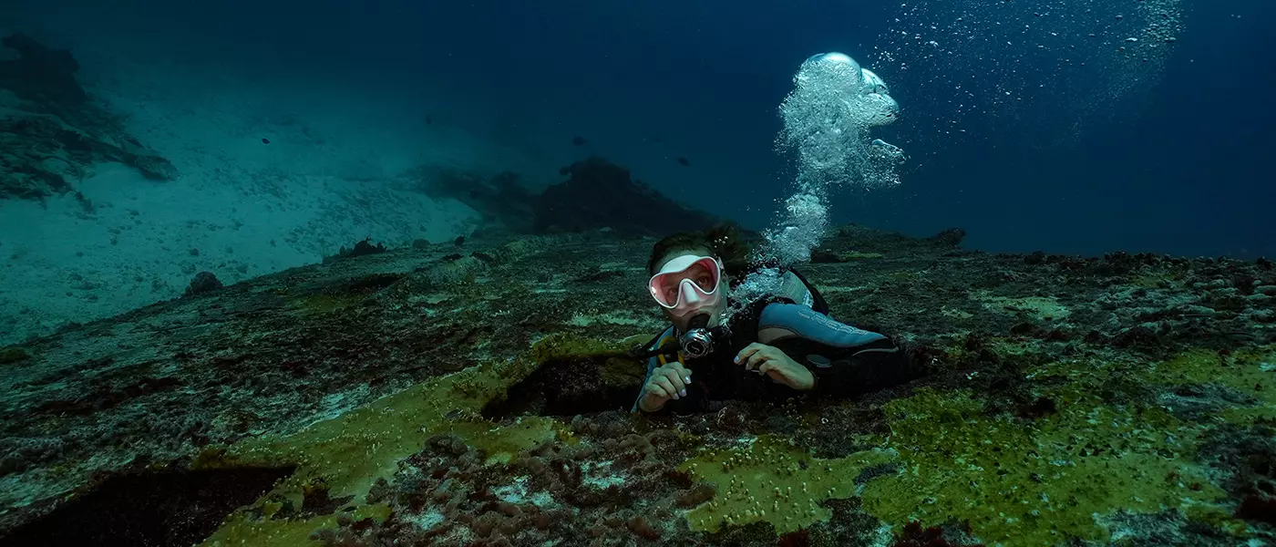 Cancun Diving Adventure