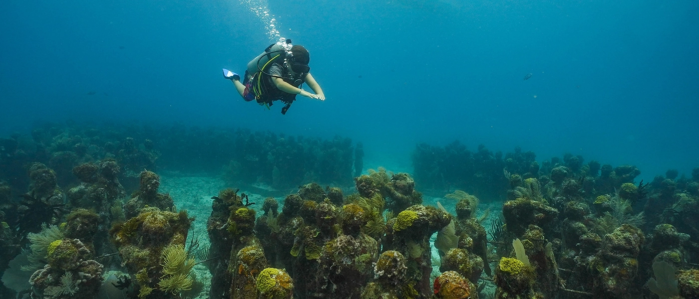 Cancun Diving Adventure